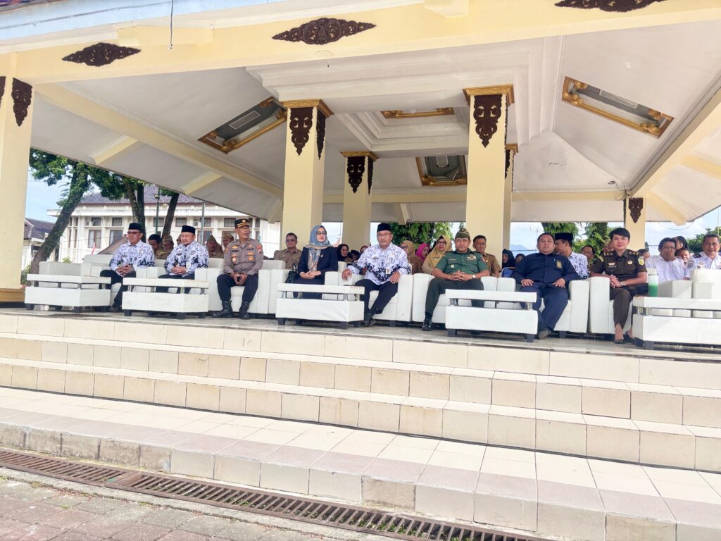 WhatsApp Image 2025-11-26 at 09.17.46